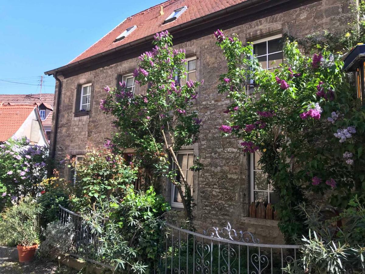 Ferienwohnung Am Weinberg Randersacker Kültér fotó